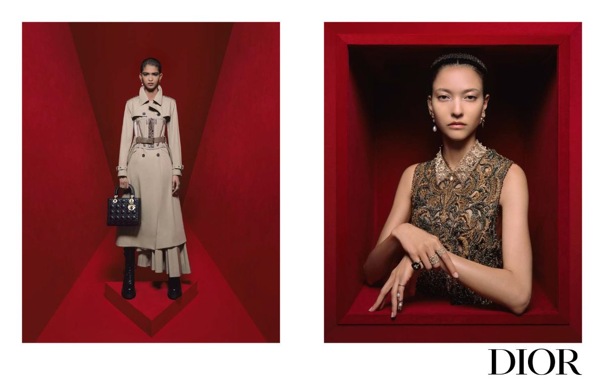 Dior Fall 2023 Ad Campaign Review