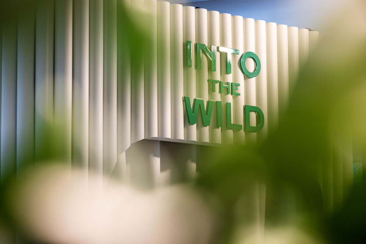 Zurich Panthère Pop Up: "INTO THE WILD" - An Update