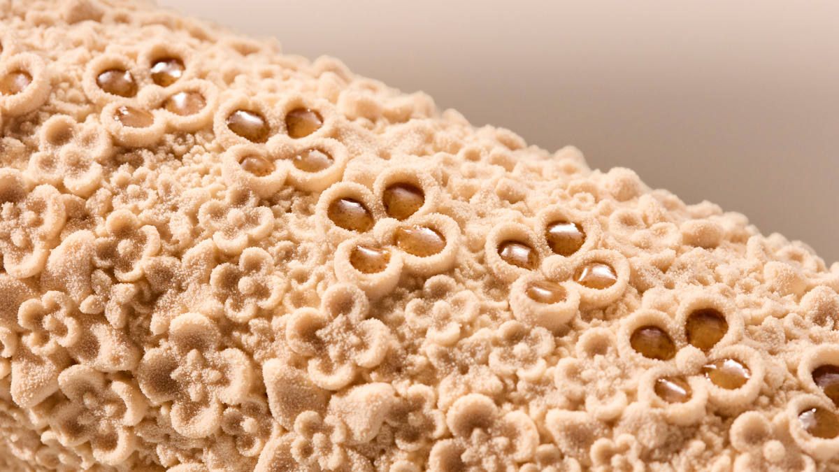 Louis Vuitton Celebrates The Festive Season With Gourmet Artistry By Maxime Frédéric