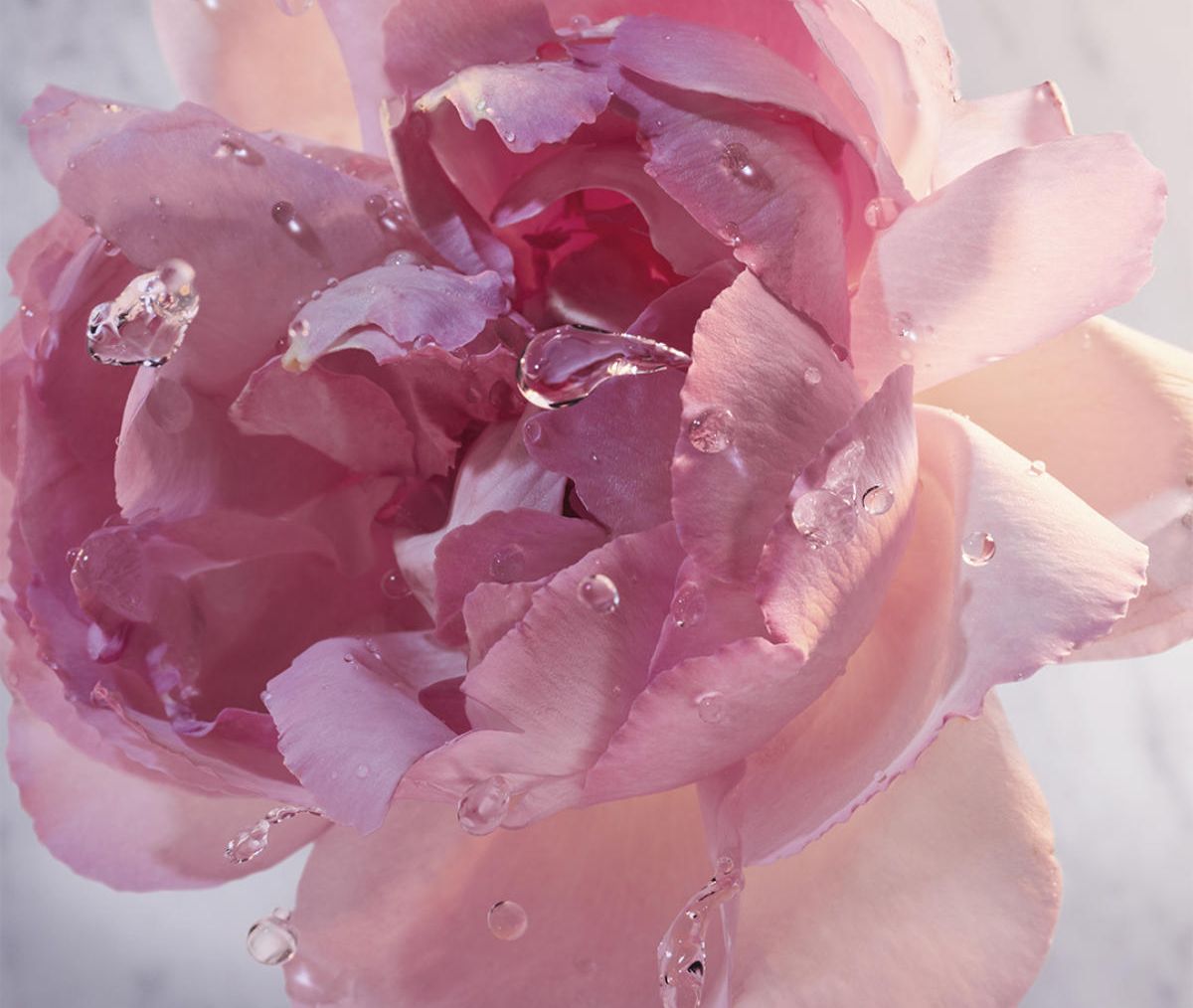 Olympéa Blossom von Paco Rabanne - Eine Göttin in voller Blütenpracht