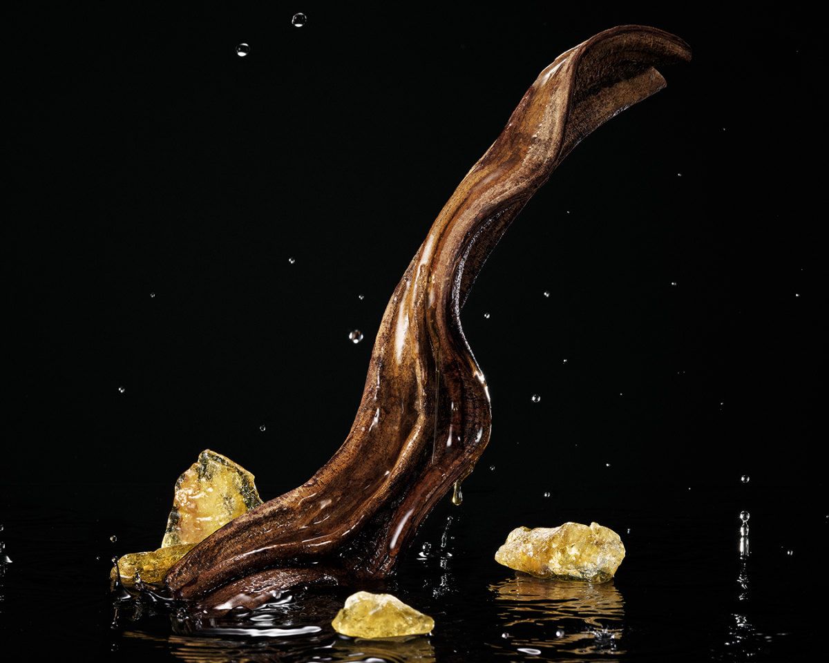 Dolce&Gabbana Introduces Velvet Honey Santal & Velvet Passion Oud