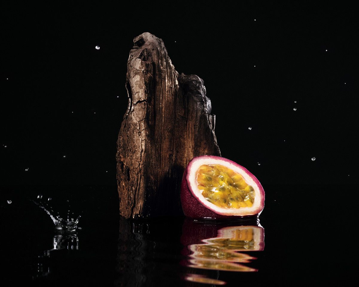 Dolce&Gabbana Introduces Velvet Honey Santal & Velvet Passion Oud