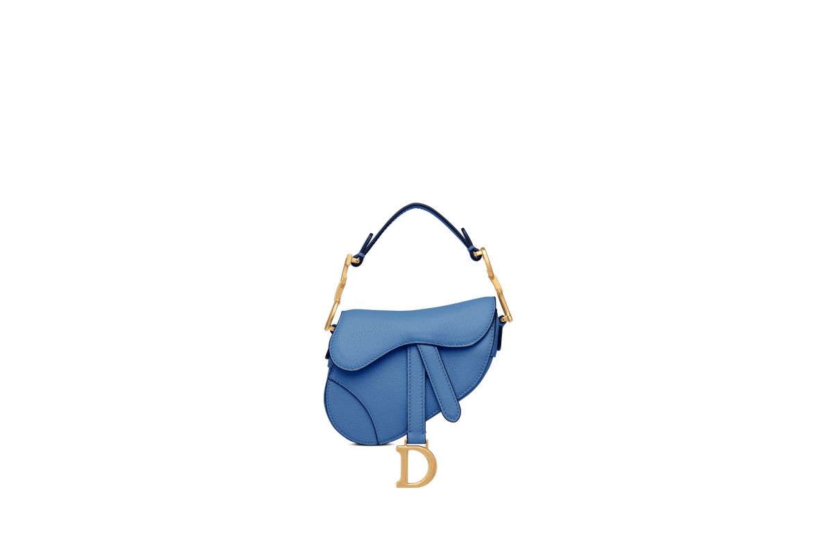 Dior Saddle Bag Worn By Jennifer Lawrence