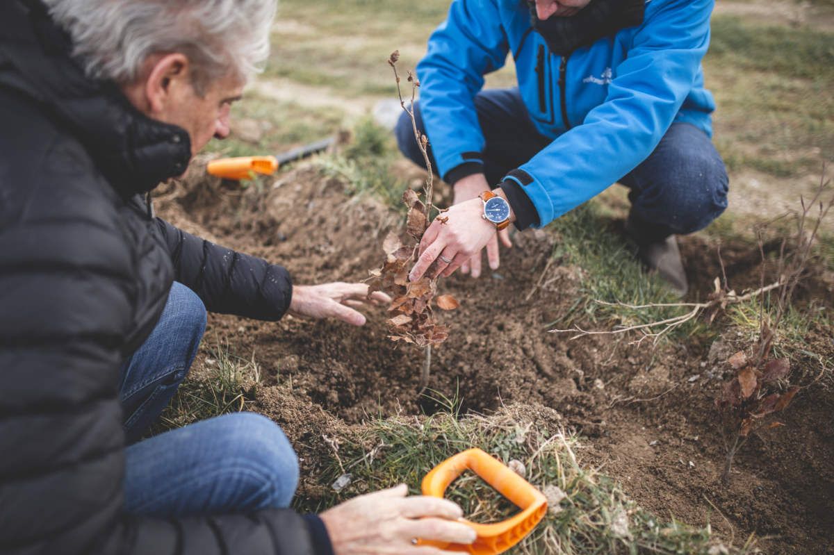 With Reforest’action, Maison Ruinart Is Committed To Nurturing Biodiversity In The Champagne Region