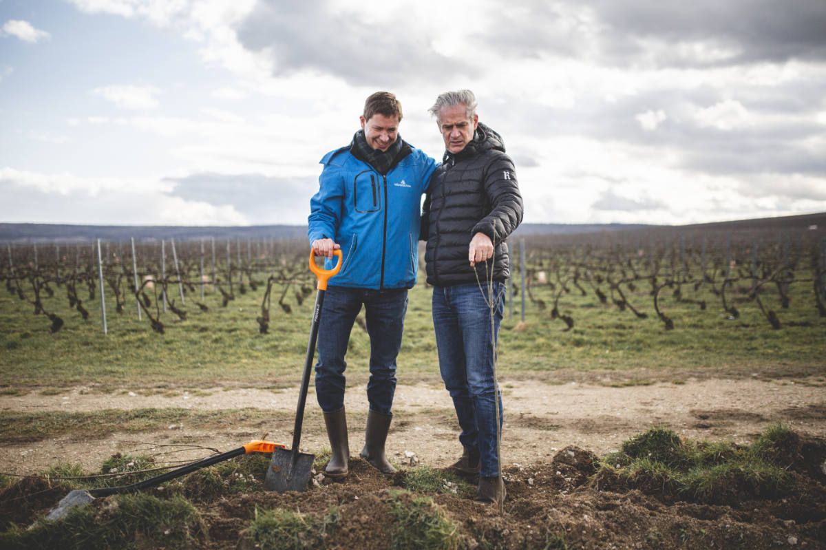 With Reforest’action, Maison Ruinart Is Committed To Nurturing Biodiversity In The Champagne Region