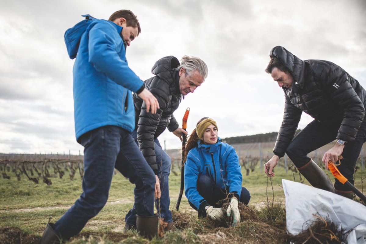 With Reforest’action, Maison Ruinart Is Committed To Nurturing Biodiversity In The Champagne Region