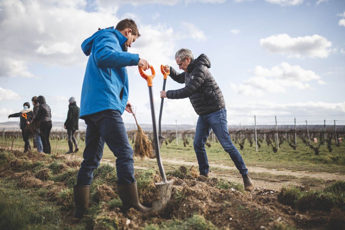 With Reforest’action, Maison Ruinart Is Committed To Nurturing Biodiversity In The Champagne Region