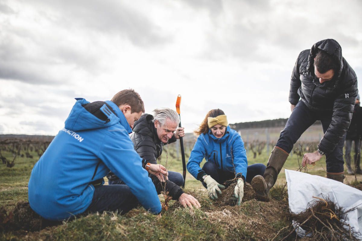 With Reforest’action, Maison Ruinart Is Committed To Nurturing Biodiversity In The Champagne Region