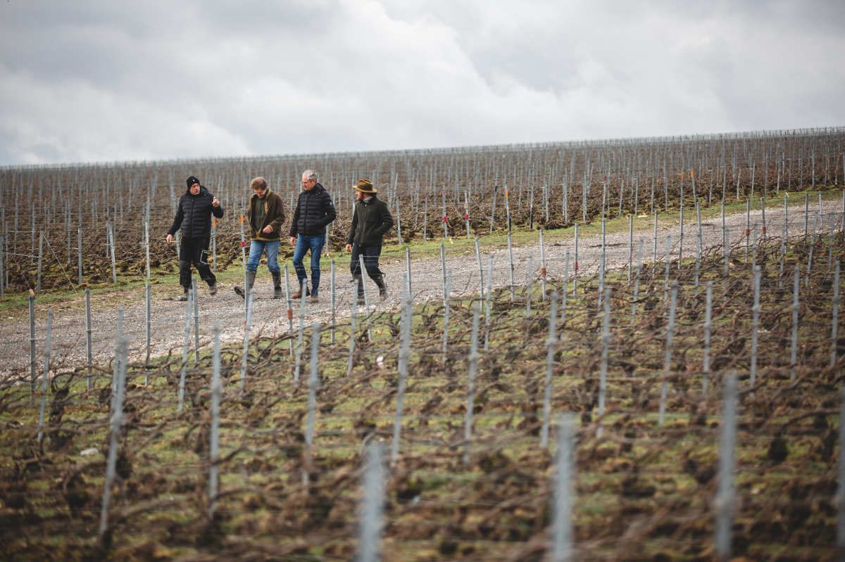 With Reforest’action, Maison Ruinart Is Committed To Nurturing Biodiversity In The Champagne Region