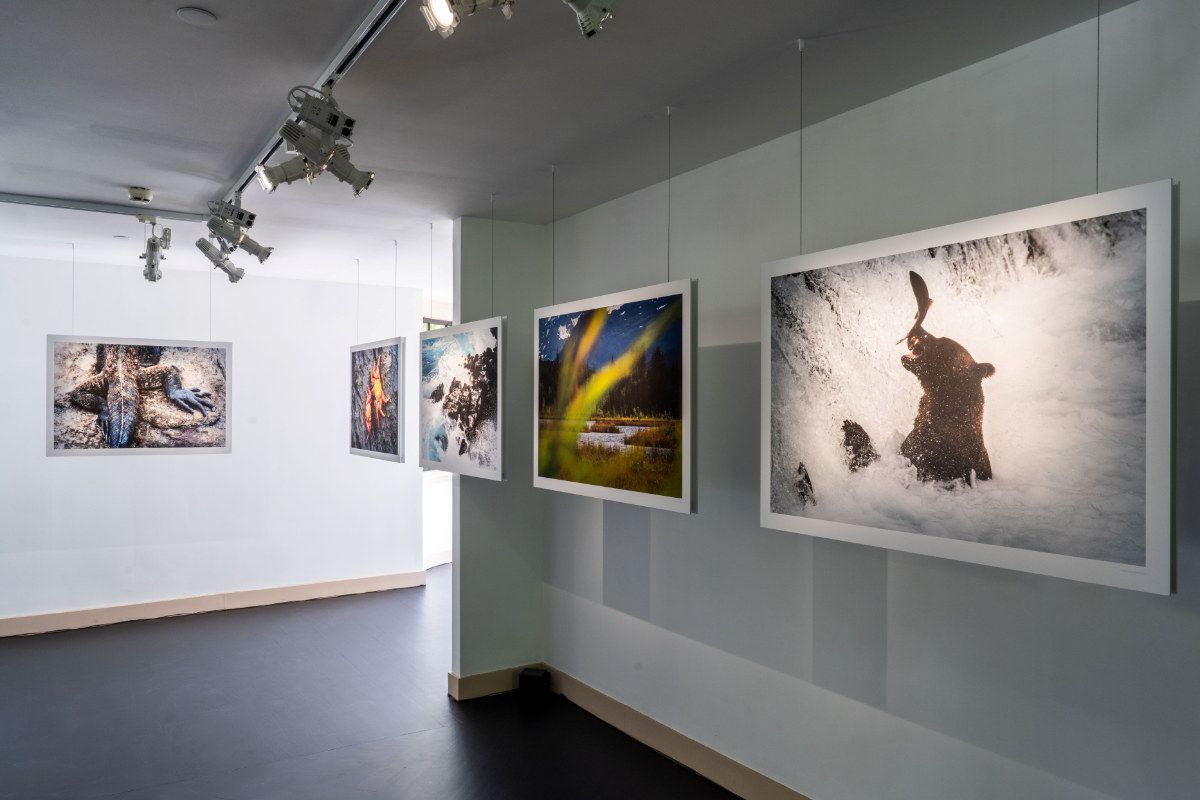 Prada Rong Zhai Welcomes SEA BEYOND: A Journey Through Ocean, Art, And Innovation