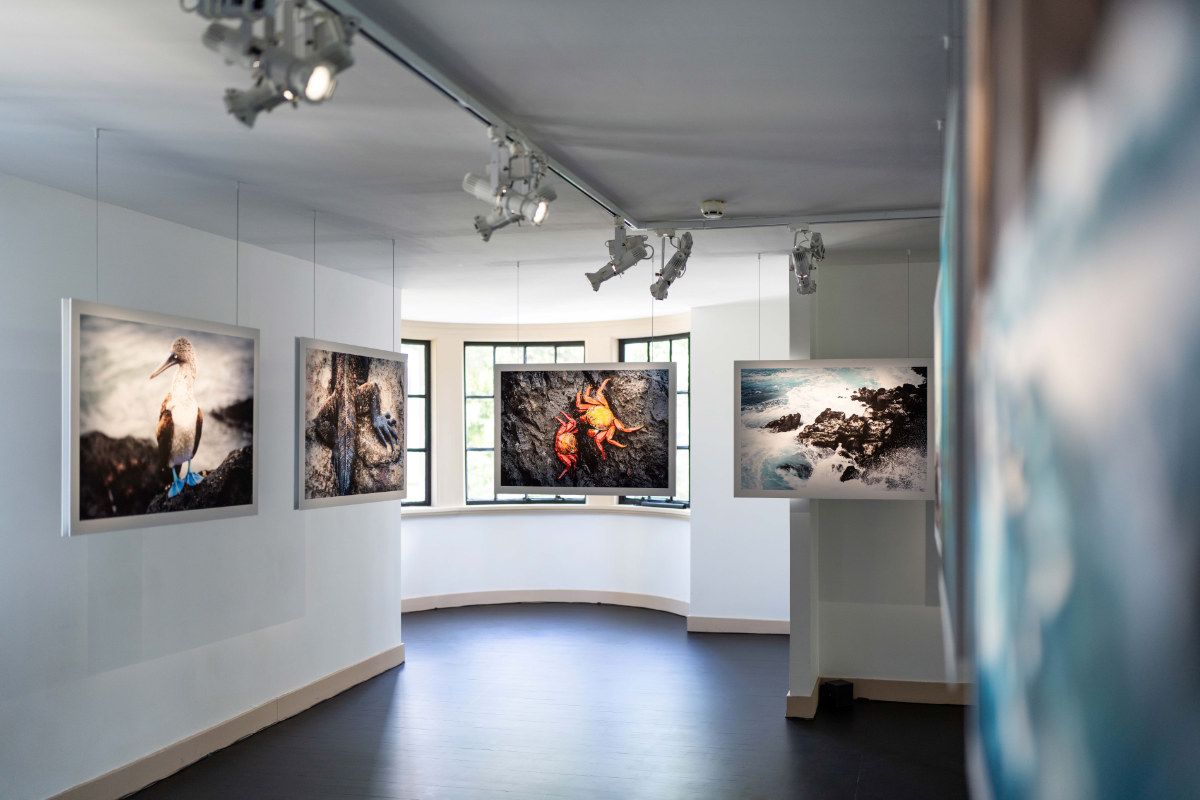 Prada Rong Zhai Welcomes SEA BEYOND: A Journey Through Ocean, Art, And Innovation