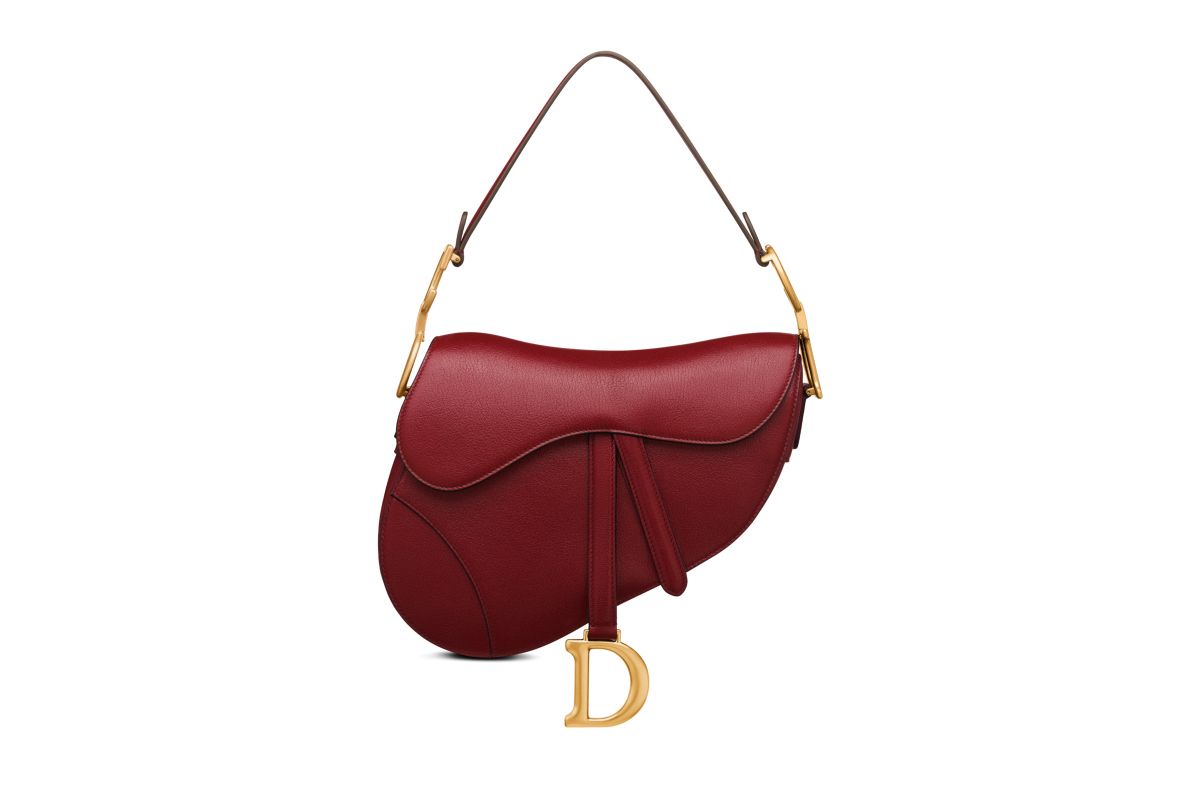 Dior Dior Saddle Bag Worn By Jennifer Lawrence Luxferity