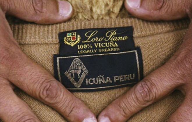 Loro Piana: Vicuña