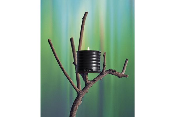 LOEWE Presents Palo Santo Scented Candle: A Luxury Ritual For The Season