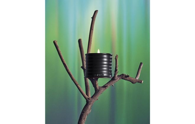 LOEWE Presents Palo Santo Scented Candle: A Luxury Ritual For The Season