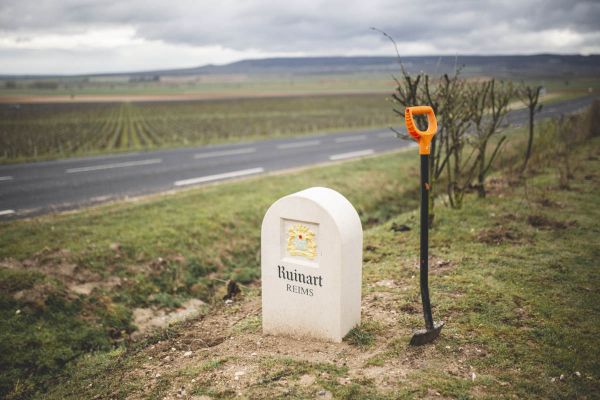 With Reforest’action, Maison Ruinart Is Committed To Nurturing Biodiversity In The Champagne Region