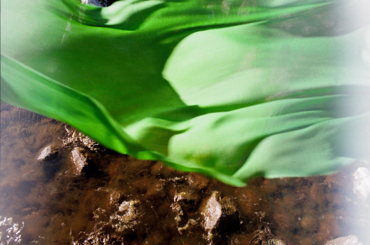 Begg X Co Unveils “Dancing With The Elements” Campaign