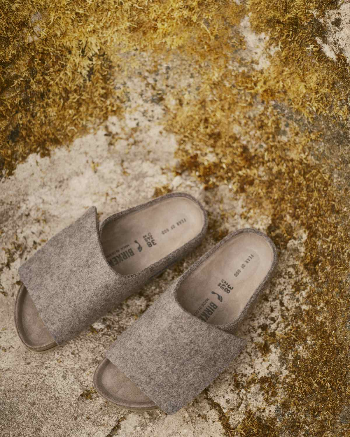 Birkenstock And Fear Of God Present The Los Feliz