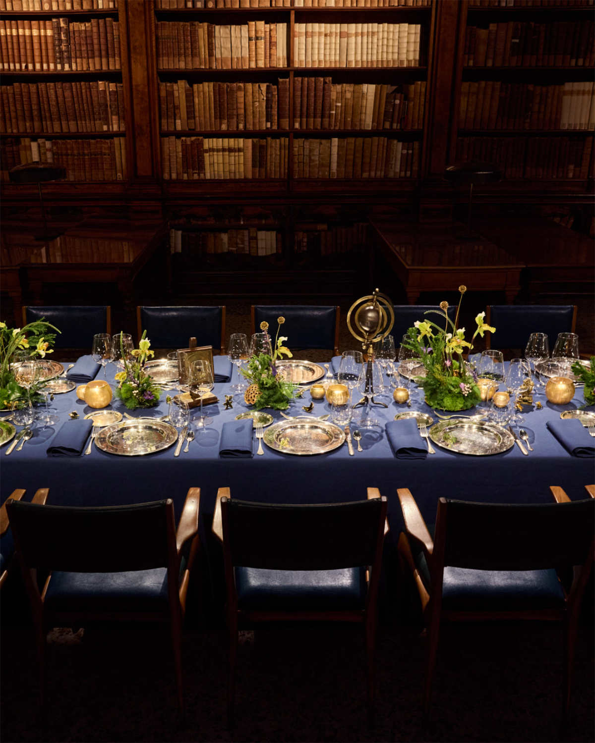 DoDo Holiday 2025 Campaign “Dreamers Shoot For The Stars”