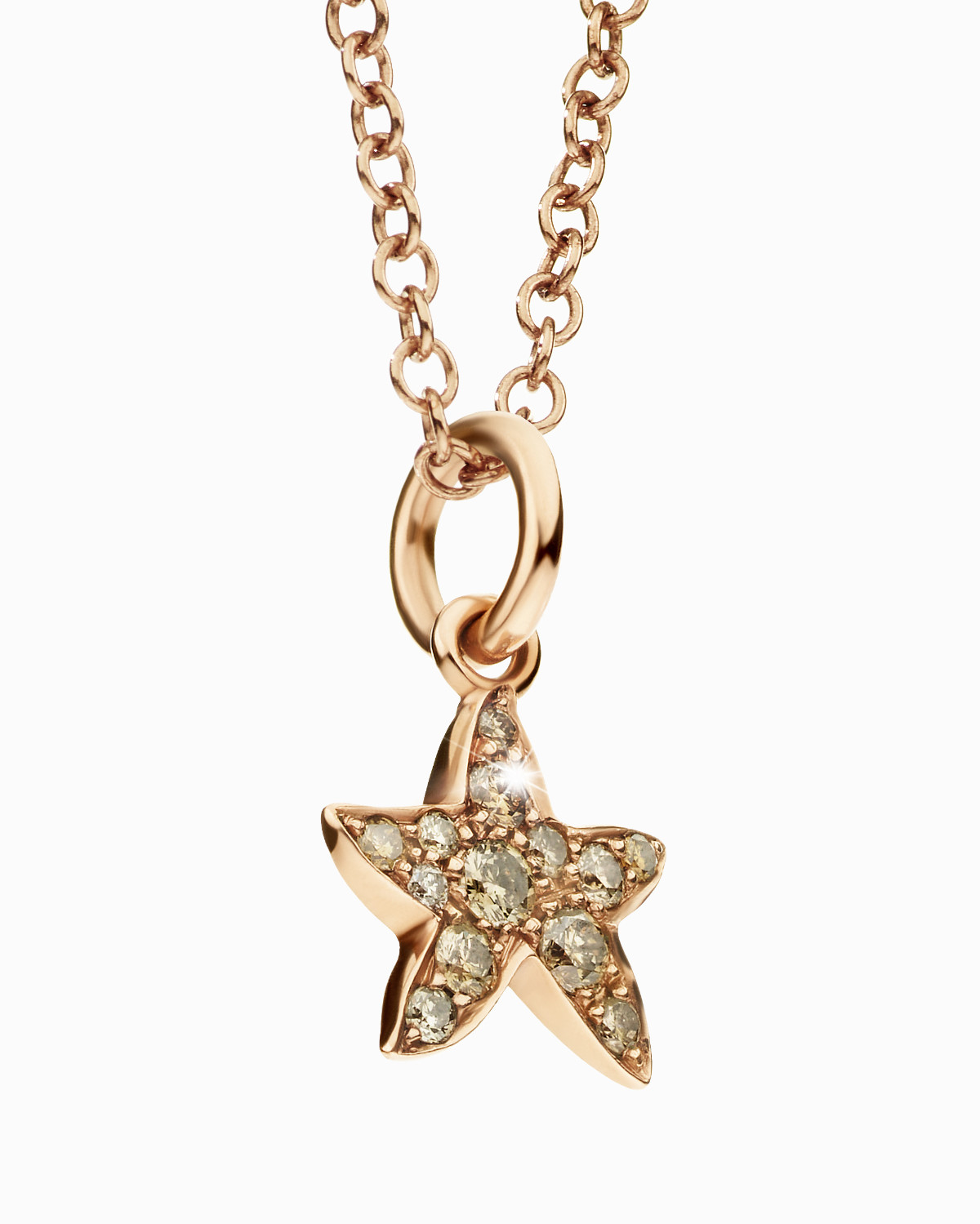 DoDo Presents “Dreamers Shoot For The Stars” — A Holiday Campaign Illuminated By Imagination