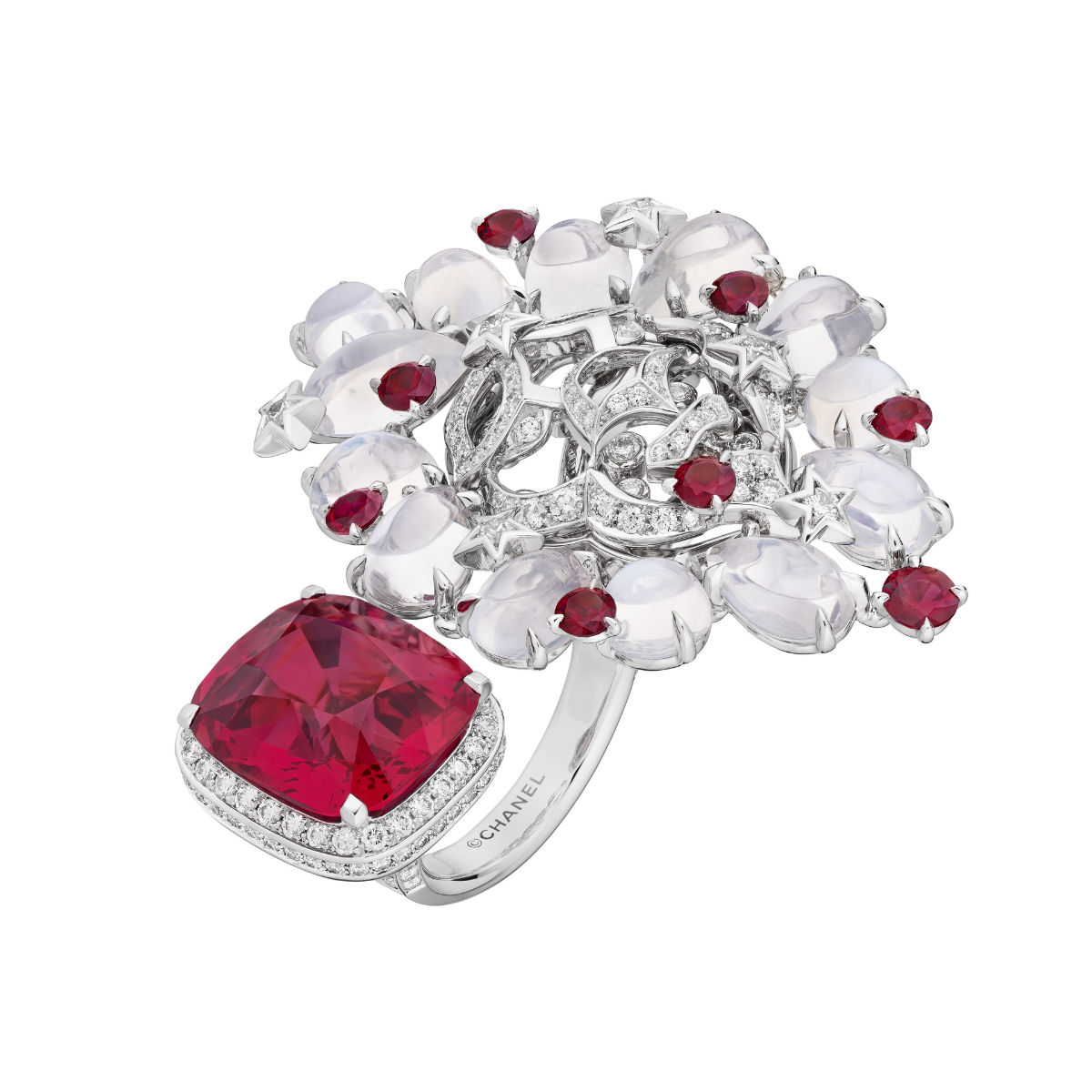 Chanel Presents Its New High Jewelry Collection: Reach For The Stars