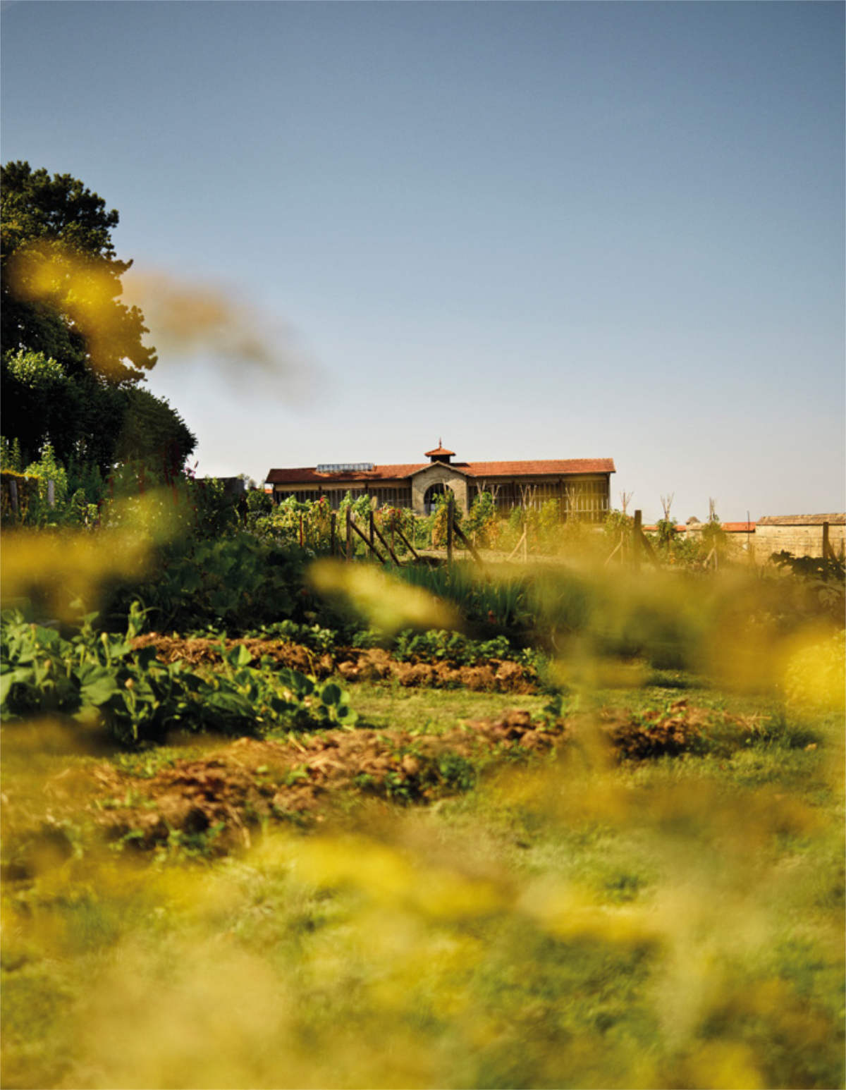 Veuve Clicquot Präsentiert Sein Neuestes Projekt: Die Gartengastronomie