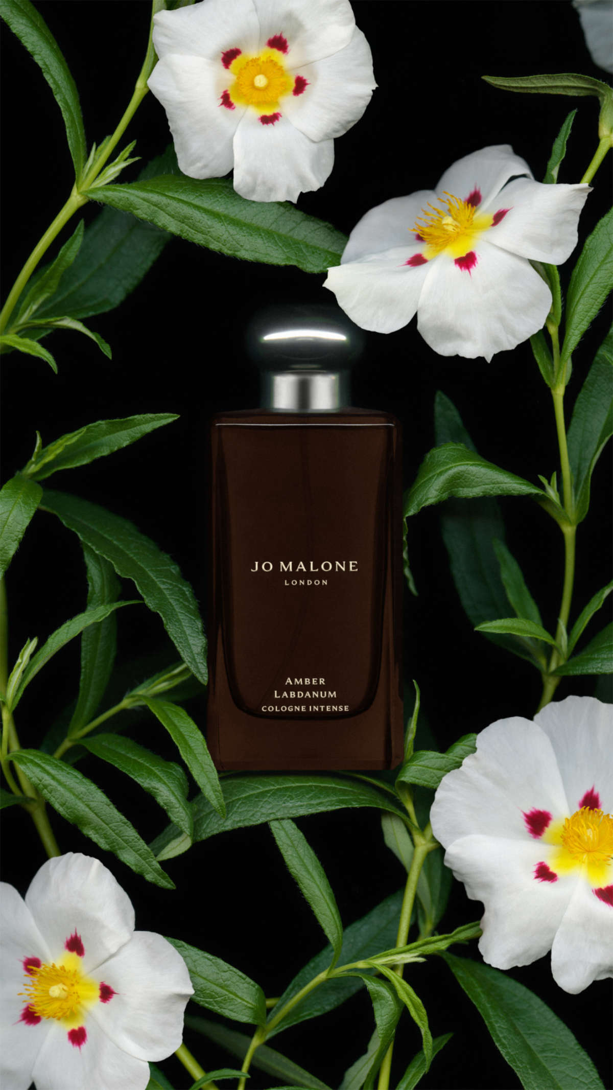 Amber Labdanum: Jo Malone London’s Sensual Ode To Andalusia