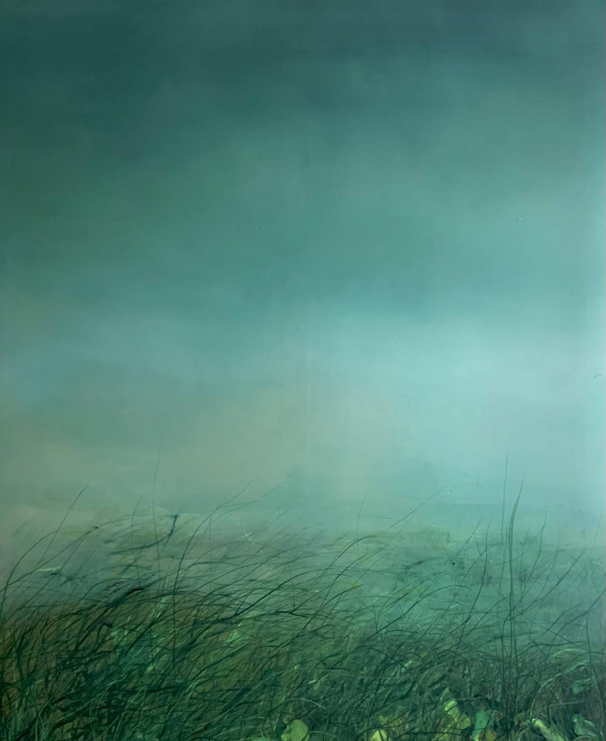 Laura Gonzalez Landscapes Exhibition: Craft And Luminescent Elegance