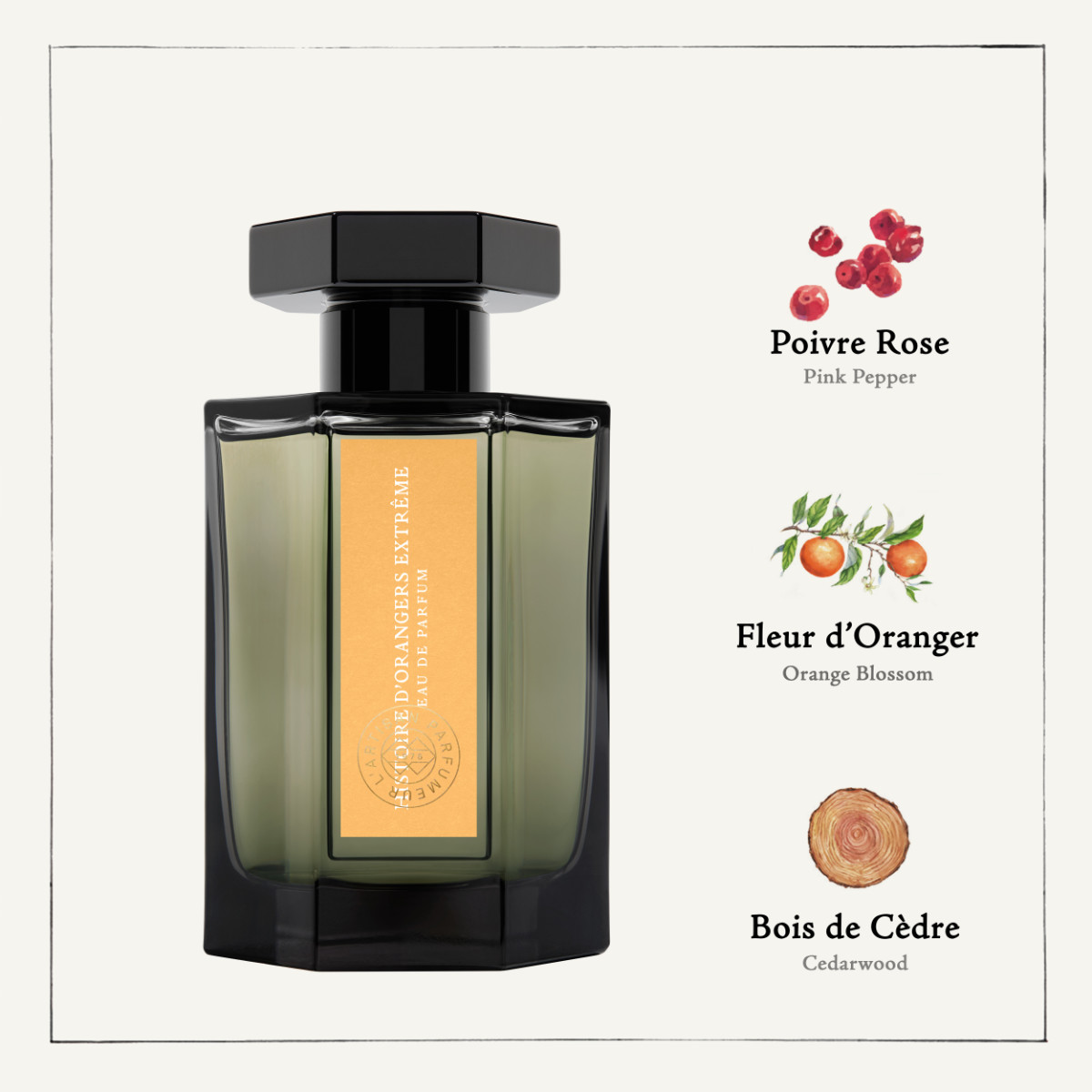 Histoire D’Orangers Extrême Unveils A Deeper, Bolder Nostalgia