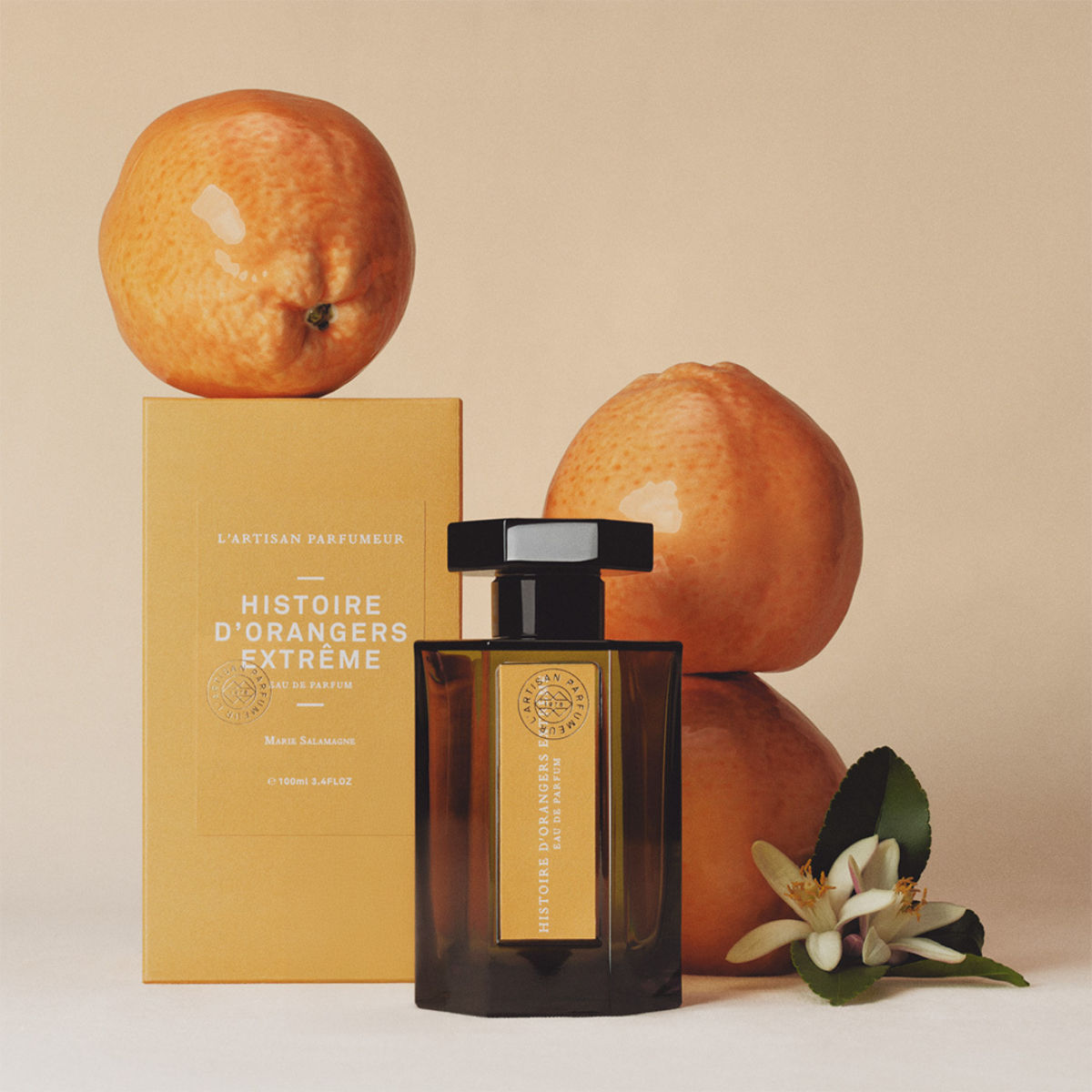 Histoire D’Orangers Extrême Unveils A Deeper, Bolder Nostalgia