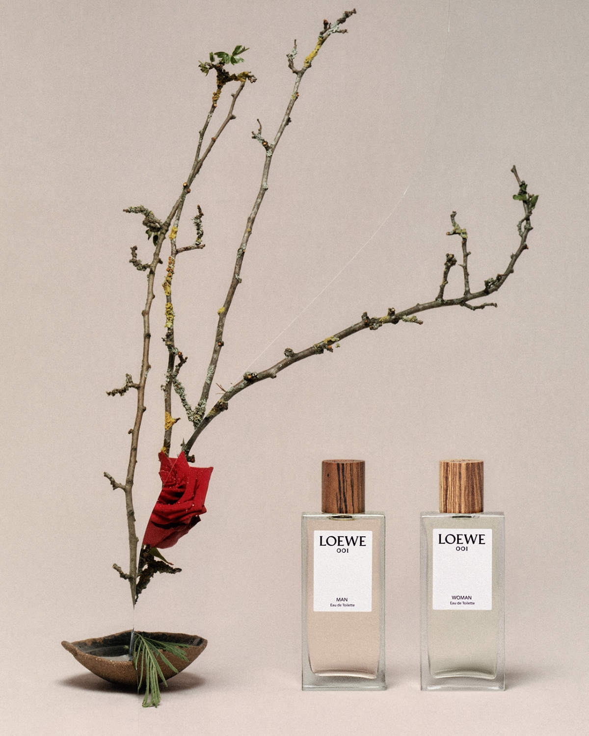 Introducing The 2023 Loewe Perfumes Botanical Rainbow Campaign