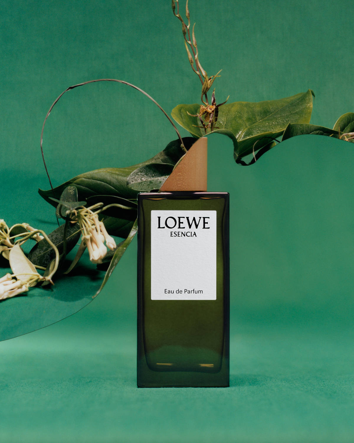 LOEWE Esencia  LOEWE Perfumes