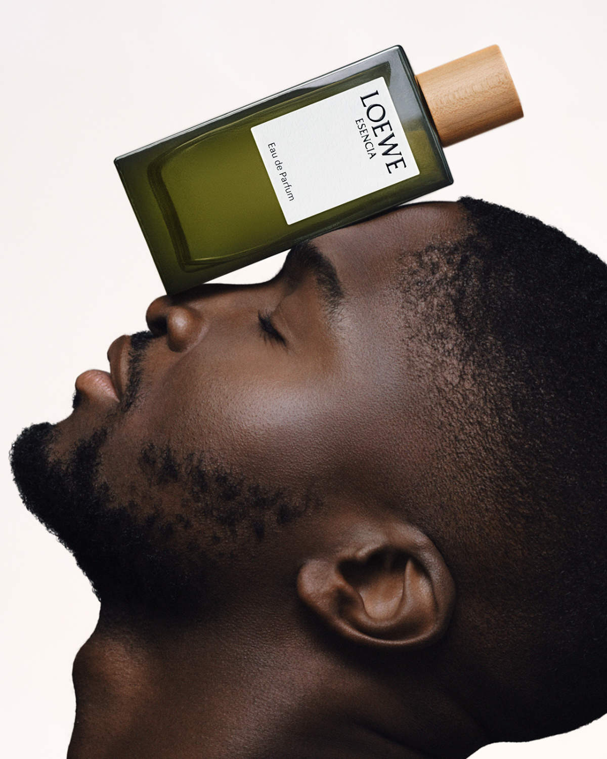 Loewe mens online fragrance