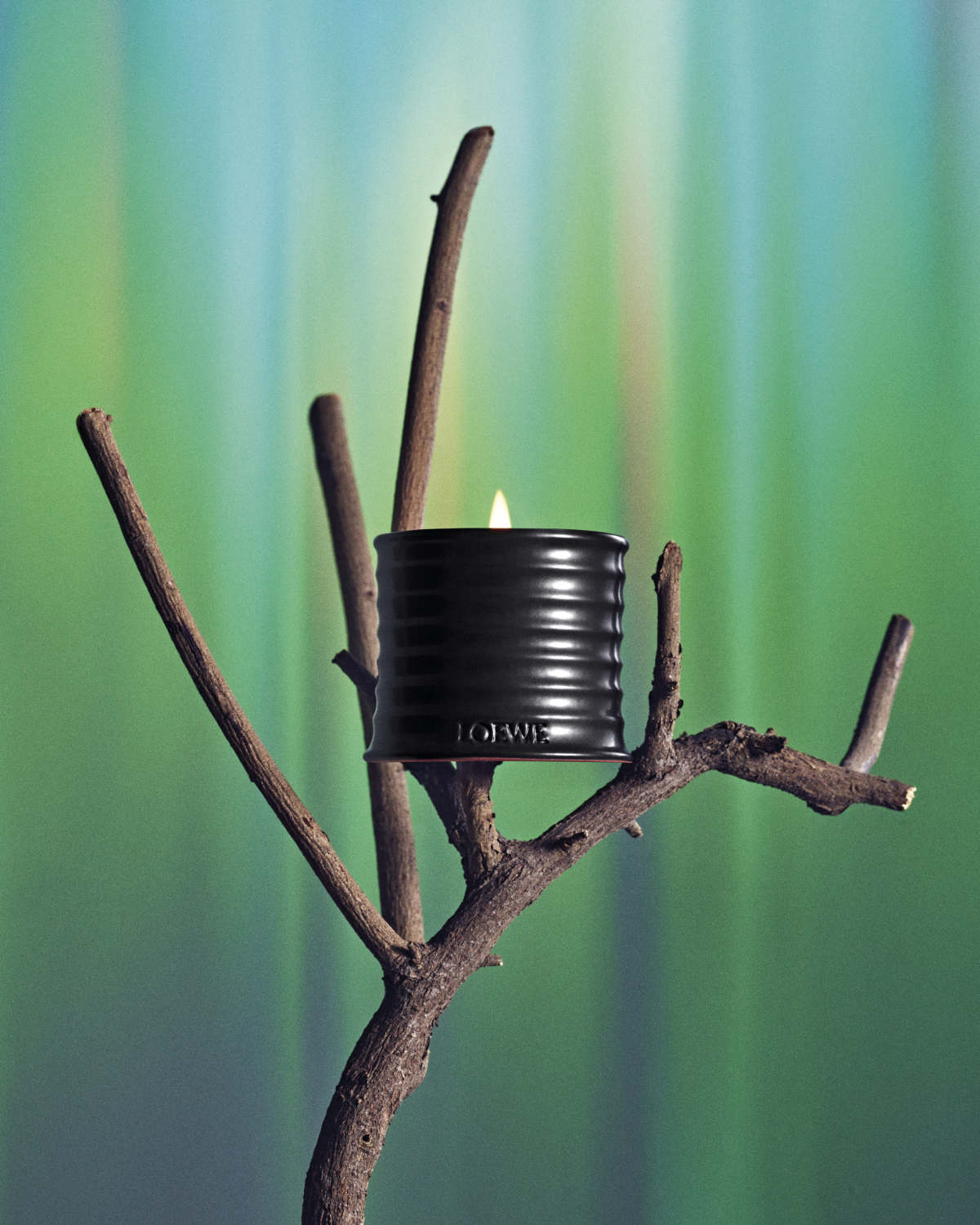 LOEWE Presents Palo Santo Scented Candle: A Luxury Ritual For The Season