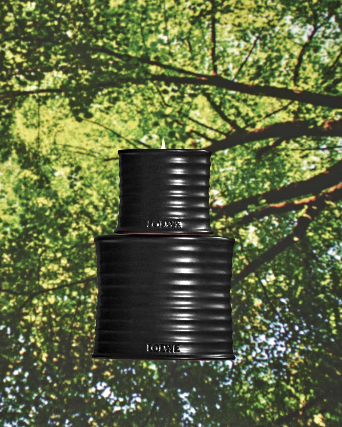 LOEWE Presents Palo Santo Scented Candle: A Luxury Ritual For The Season