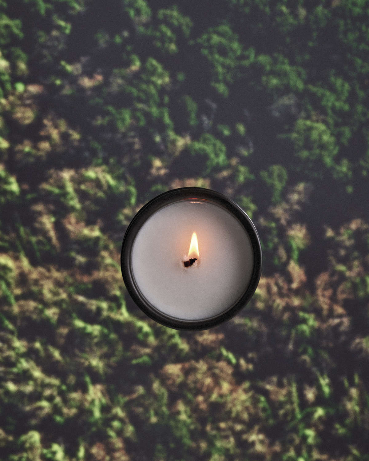 LOEWE Presents Palo Santo Scented Candle: A Luxury Ritual For The Season