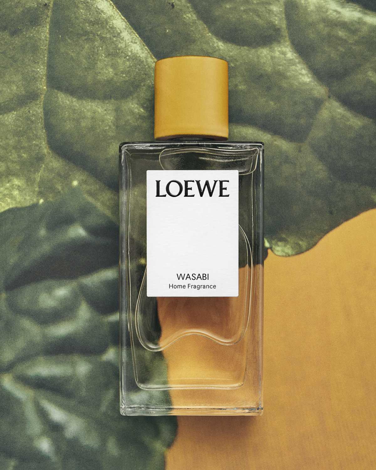 LOEWE Perfumes Reveals Wasabi, A Vibrant New Fragrance