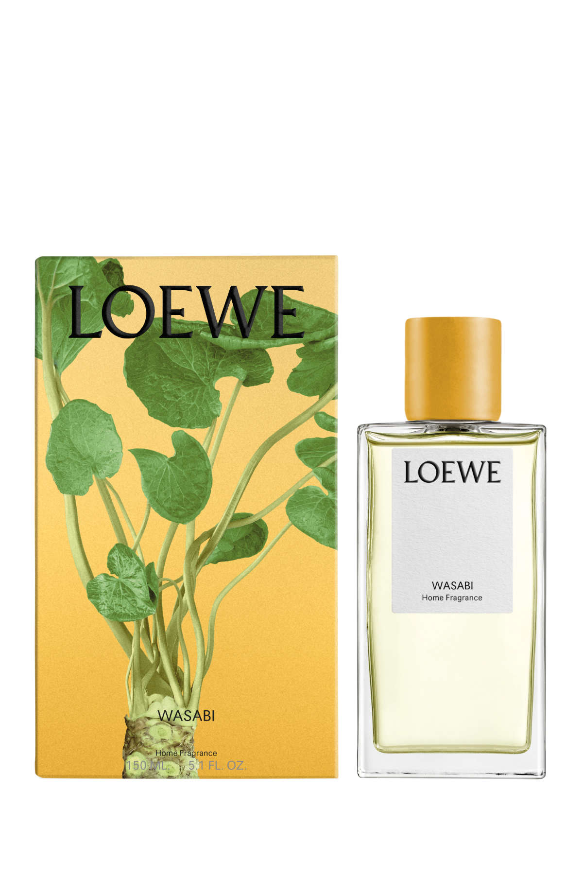 LOEWE Perfumes Reveals Wasabi, A Vibrant New Fragrance