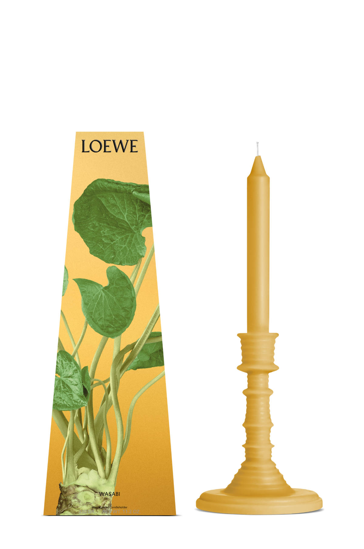 LOEWE Perfumes Reveals Wasabi, A Vibrant New Fragrance