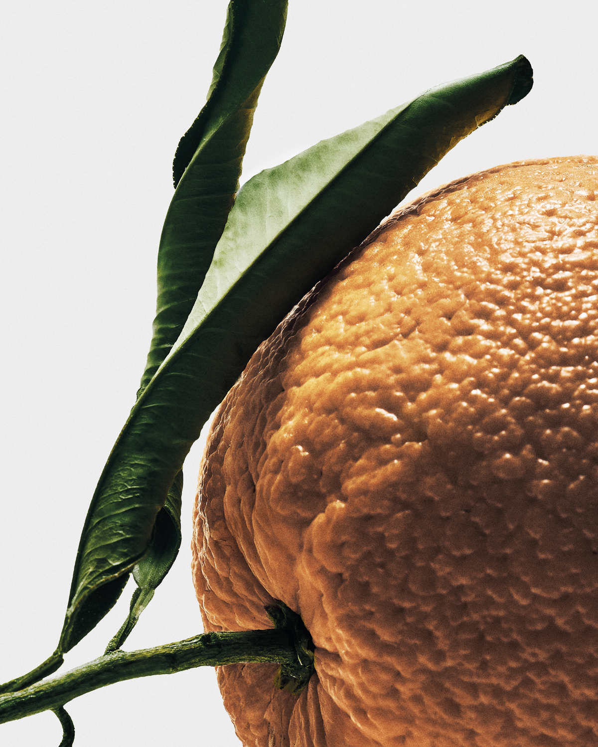 Loewe Crafts A New Olfactory Chapter With Its Sculptural Crafted Collection