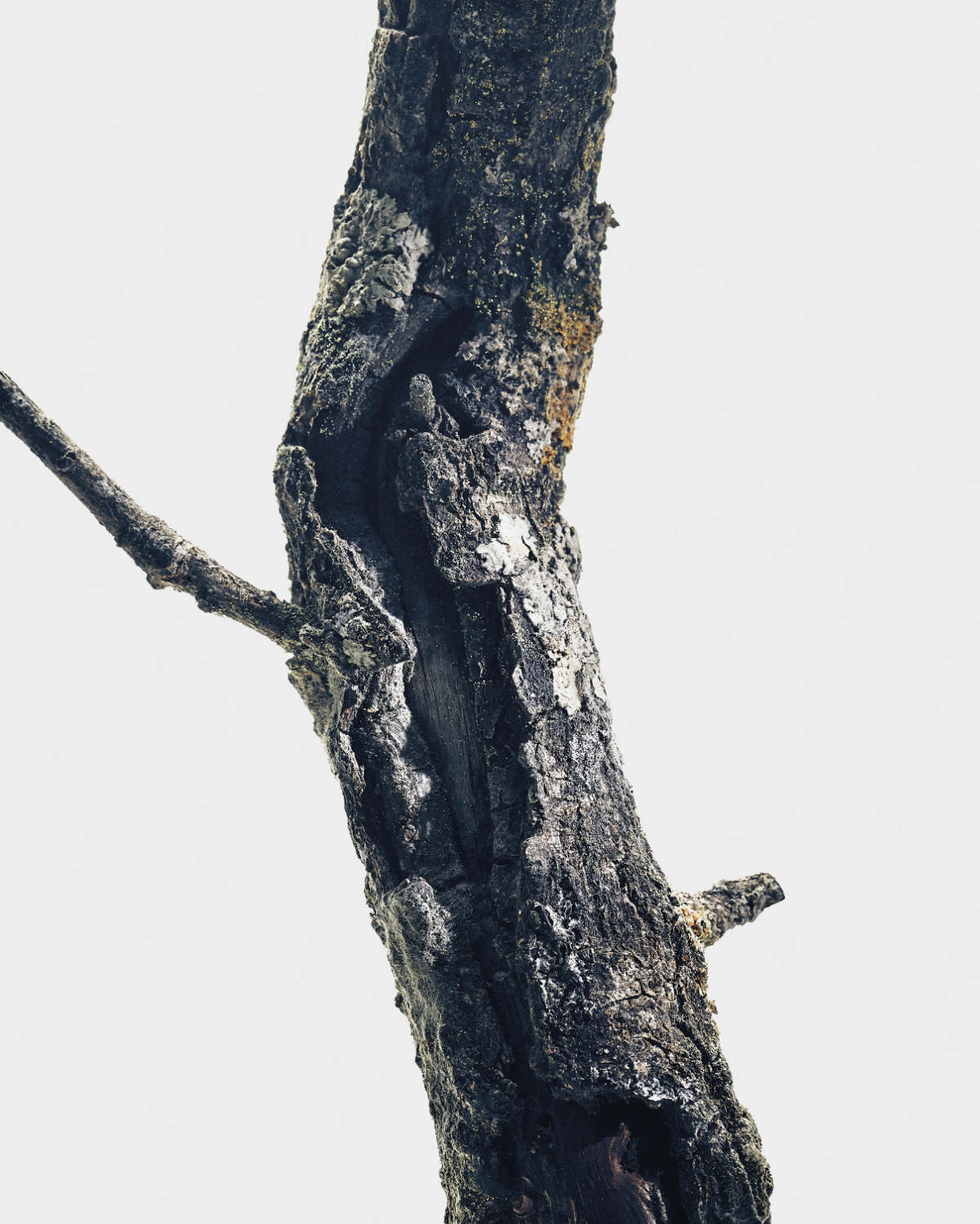 Loewe Crafts A New Olfactory Chapter With Its Sculptural Crafted Collection