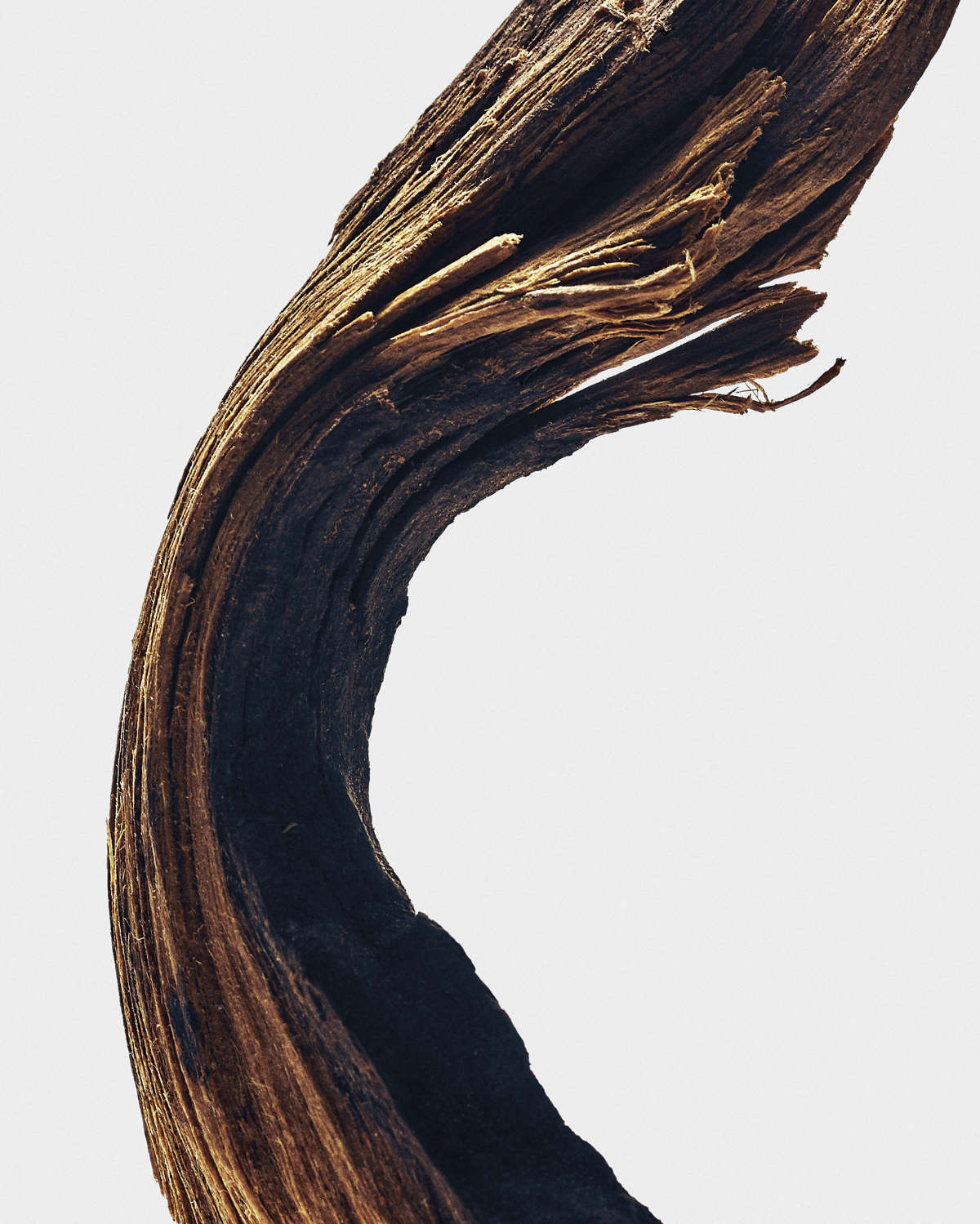 Loewe Crafts A New Olfactory Chapter With Its Sculptural Crafted Collection