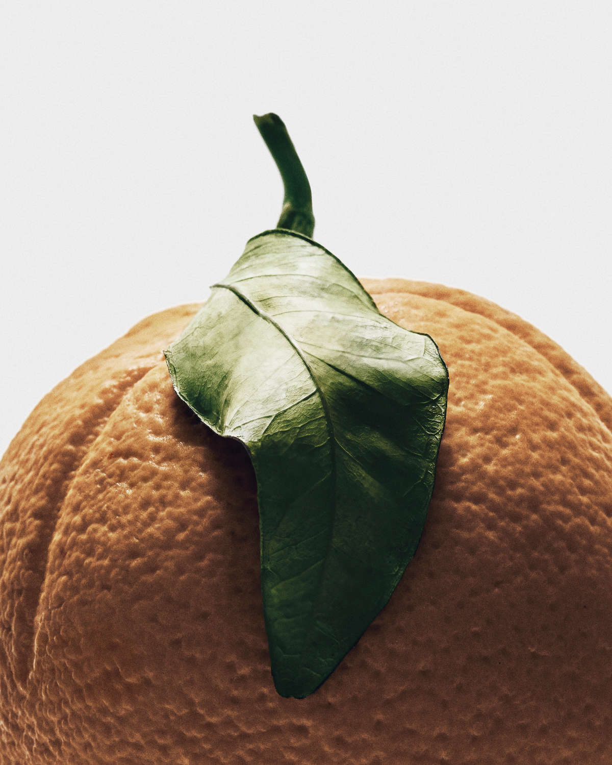 Loewe Crafts A New Olfactory Chapter With Its Sculptural Crafted Collection