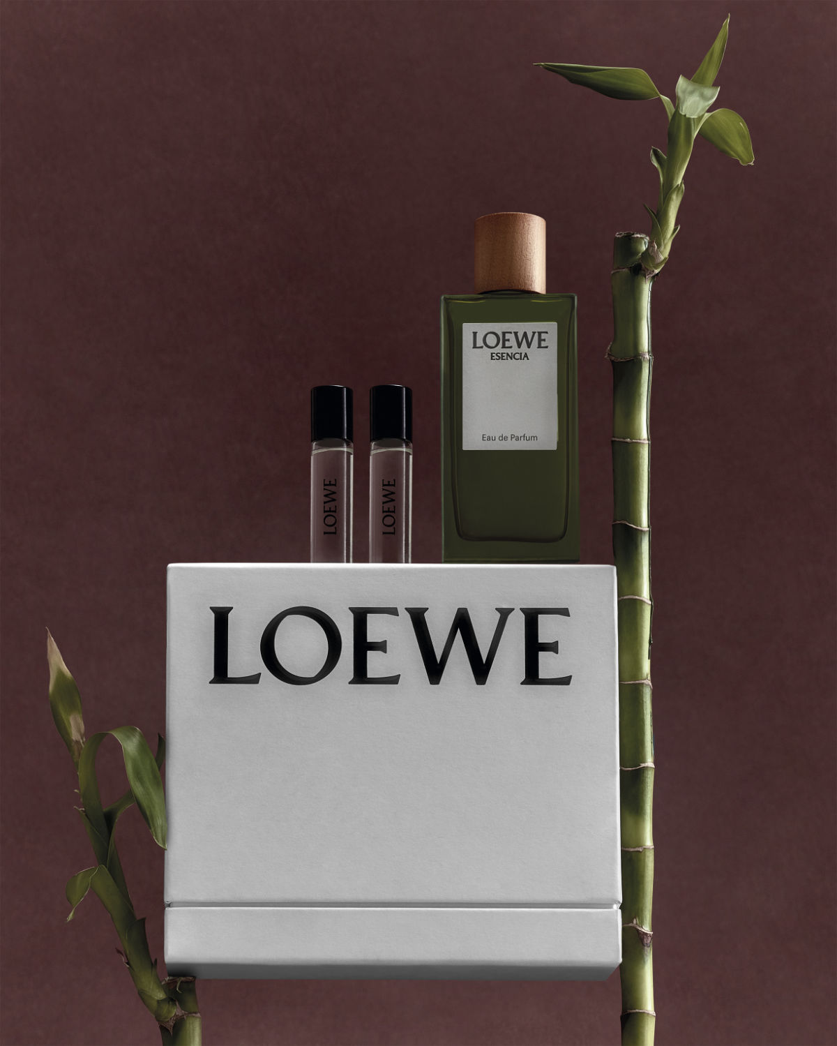 Loewe Introduces Its Perfumes Home Scents Novelties And Holidays Campaign 2023