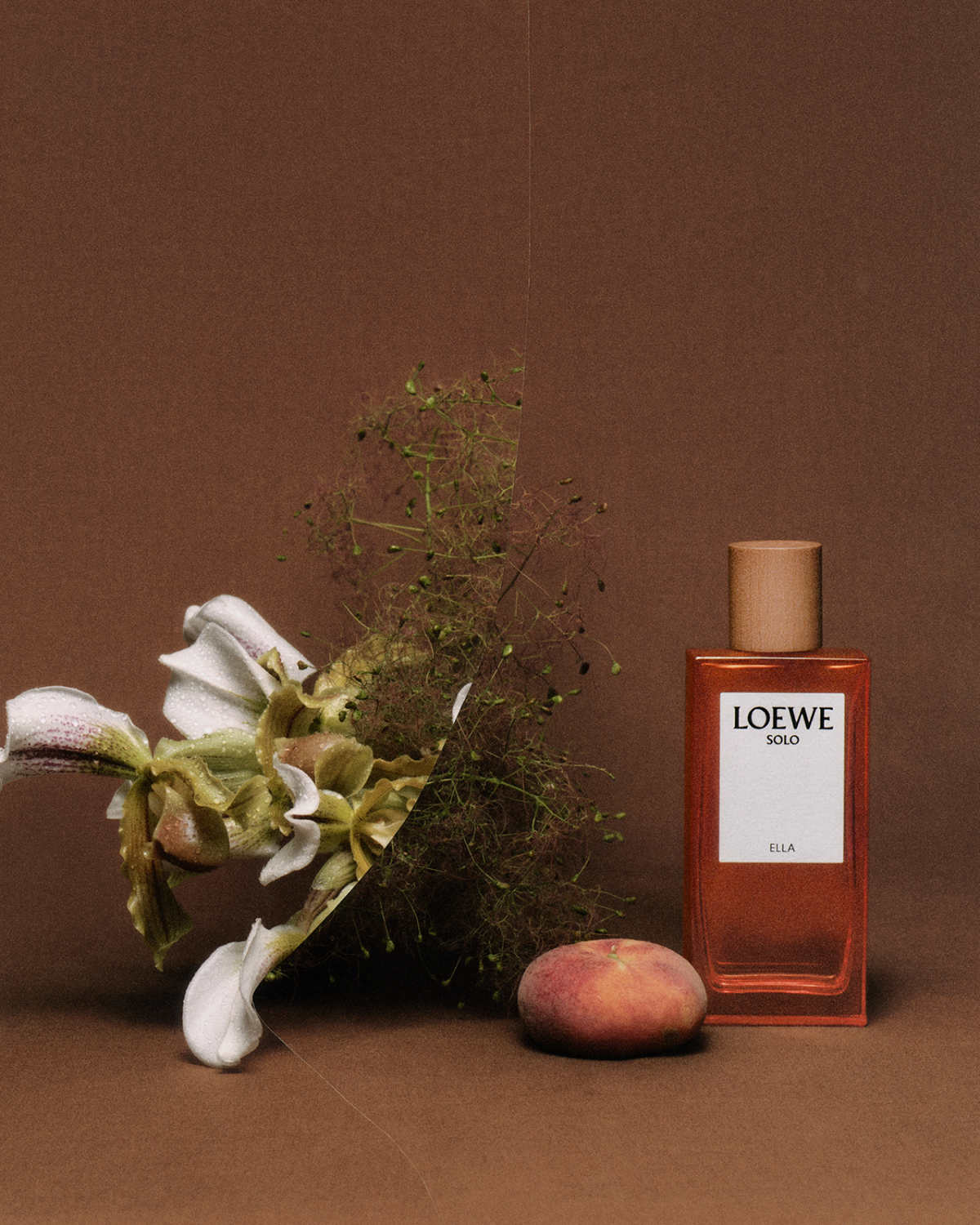 Introducing The 2023 Loewe Perfumes Botanical Rainbow Campaign