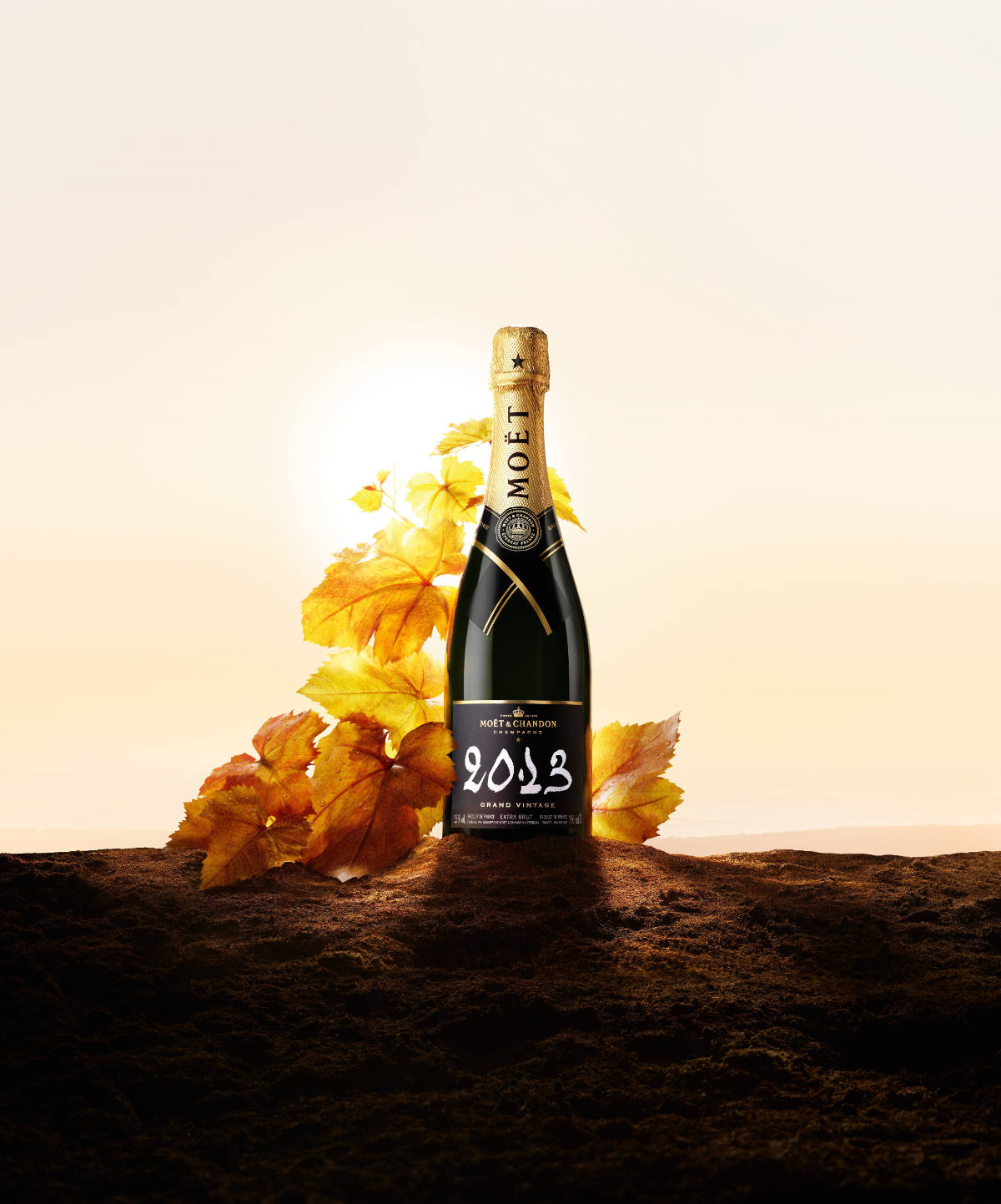 Moët & Chandon Captures The Story Of The Year 2013 In Its Grand Vintage 2013