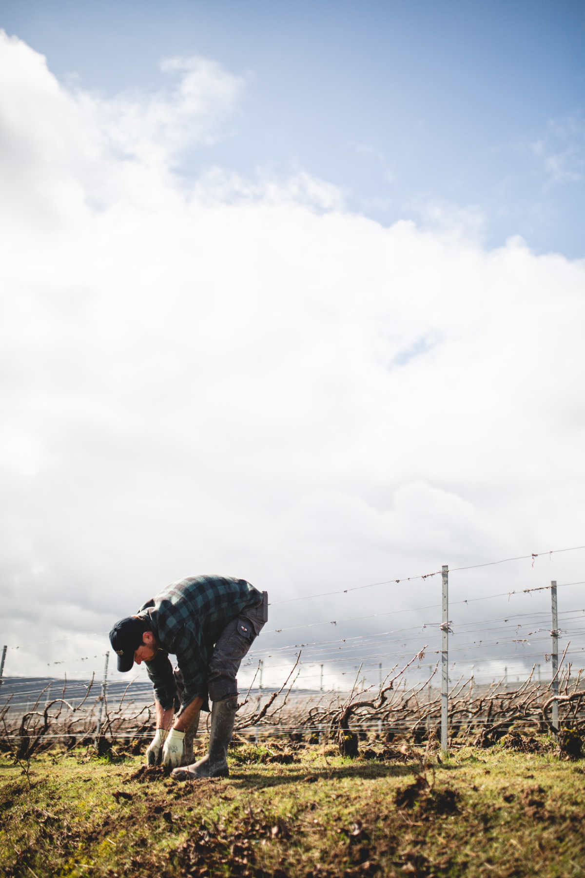 With Reforest’action, Maison Ruinart Is Committed To Nurturing Biodiversity In The Champagne Region