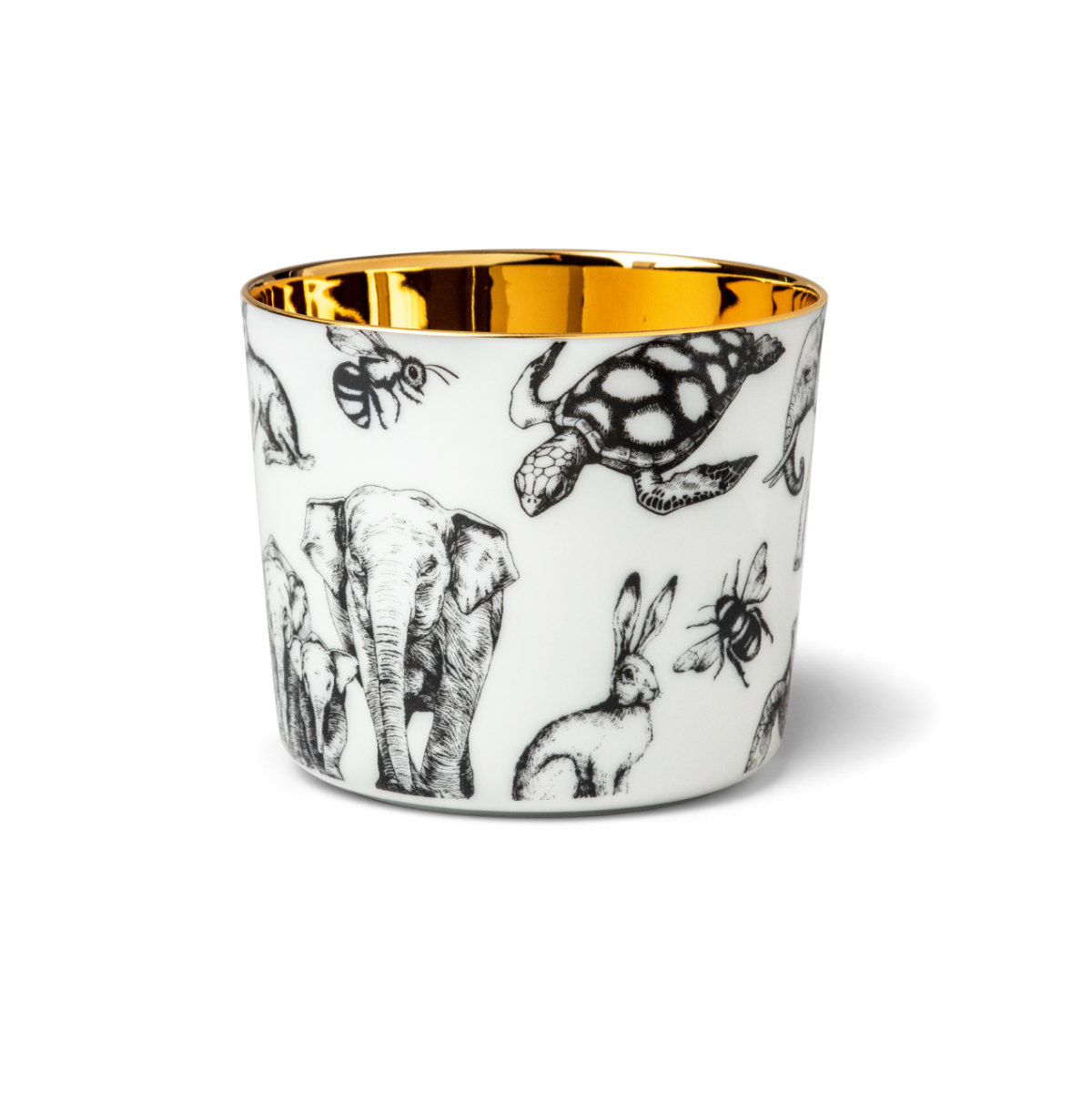 Precious Wildlife - A New Collaboration Between Dr. Barbara Sturm And SIEGER By FÜRSTENBERG