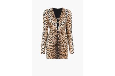 Leopard-Print Cut-Out Mini Dress