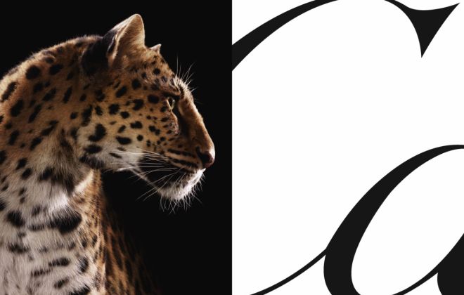 Cartier’s Iconic Panther Takes Over The World’s Most Legendary Cities